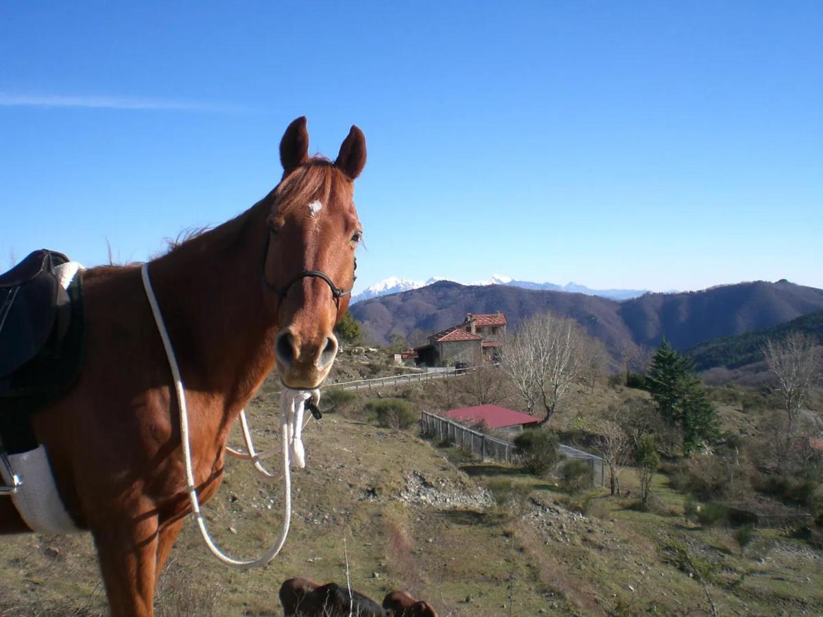 Villa Casa Della Barcareccia Calice al Cornoviglio Esterno foto
