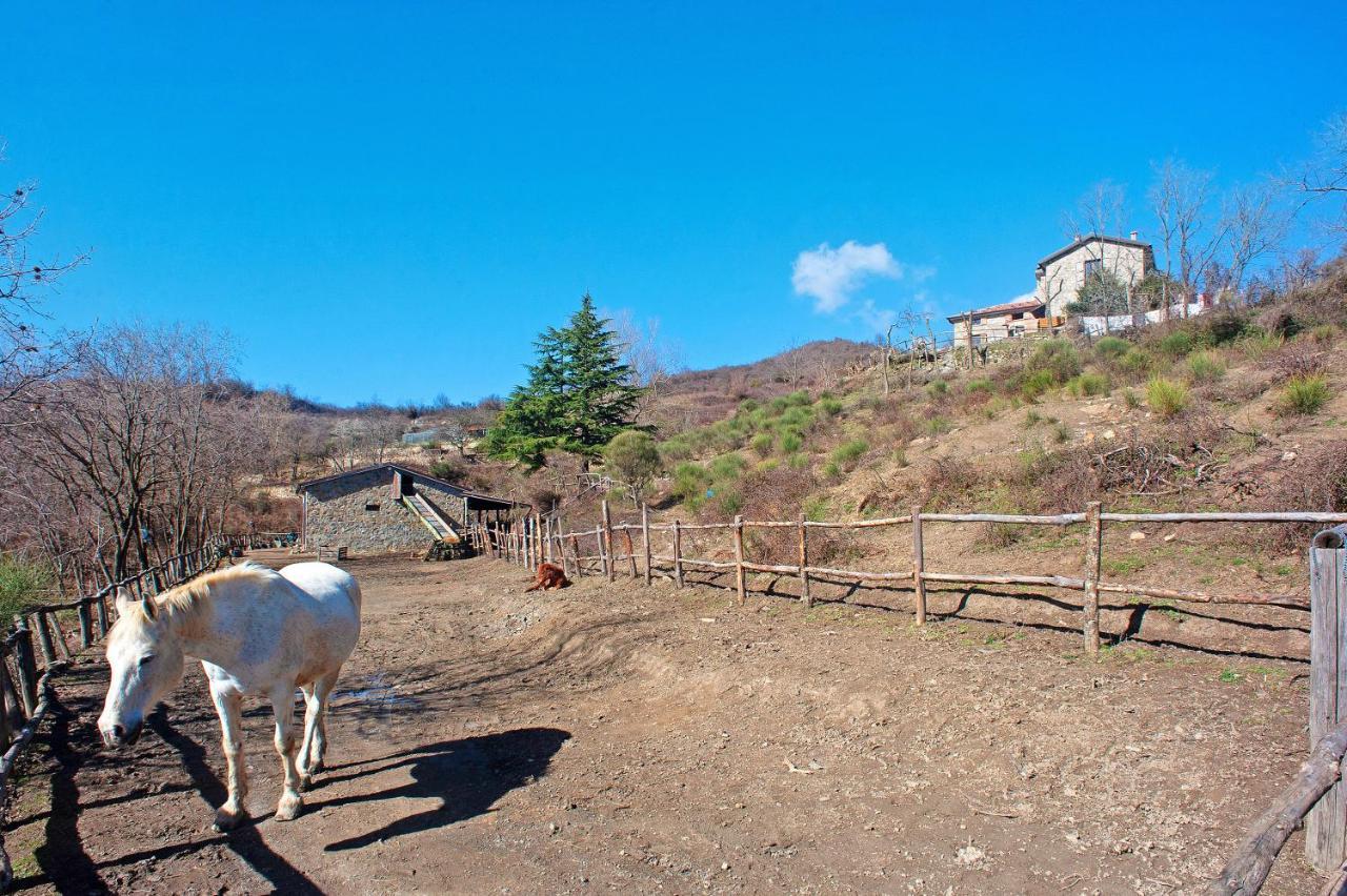Villa Casa Della Barcareccia Calice al Cornoviglio Esterno foto
